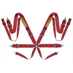 Sabelt 8 point FIA harnesses