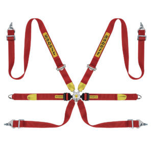 Sabelt 6 point FIA harnesses